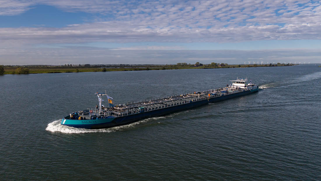 Salacia-header-verhaar